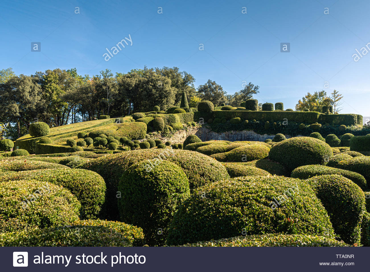 gardens of the chateau de marqueyssac in the historic perigord region of france TTA0NR