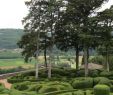 Jardin De Marqueyssac Luxe Inspirations Ch¢teau De Marqueyssac – the Renaissance Gardener