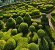 Jardin De Marqueyssac Nouveau 50 ] Daily Wallpaper From Bing On Wallpapersafari