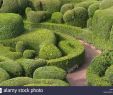 Jardin De Marqueyssac Nouveau topiary at the Chateau De Marqueyssac Dordogne France Stock