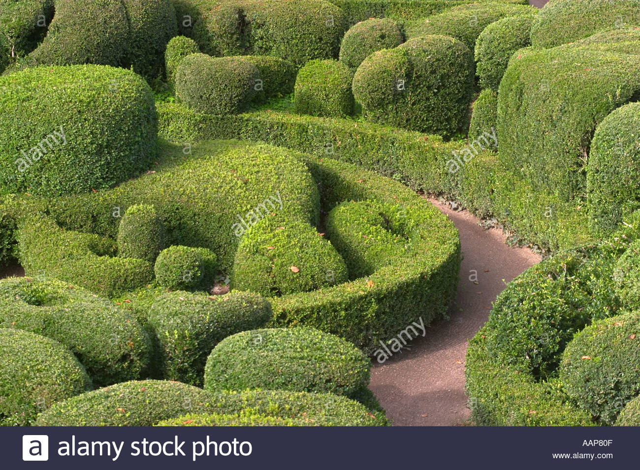 Jardin De Marqueyssac Nouveau topiary at the Chateau De Marqueyssac Dordogne France Stock