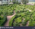 Jardin De Marqueyssac Nouveau topiary at the Chateau De Marqueyssac Dordogne France Stock