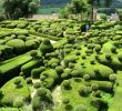 Jardin De Marqueyssac Unique Surreal Views Of the Marqueyssac topiary Gardens