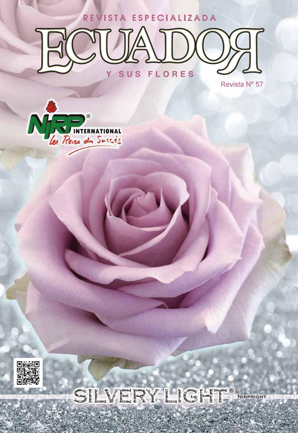 Jardin De Roses Beau Ecuador Y Sus Flores 57 by Ecuador Y Sus Flores Revista