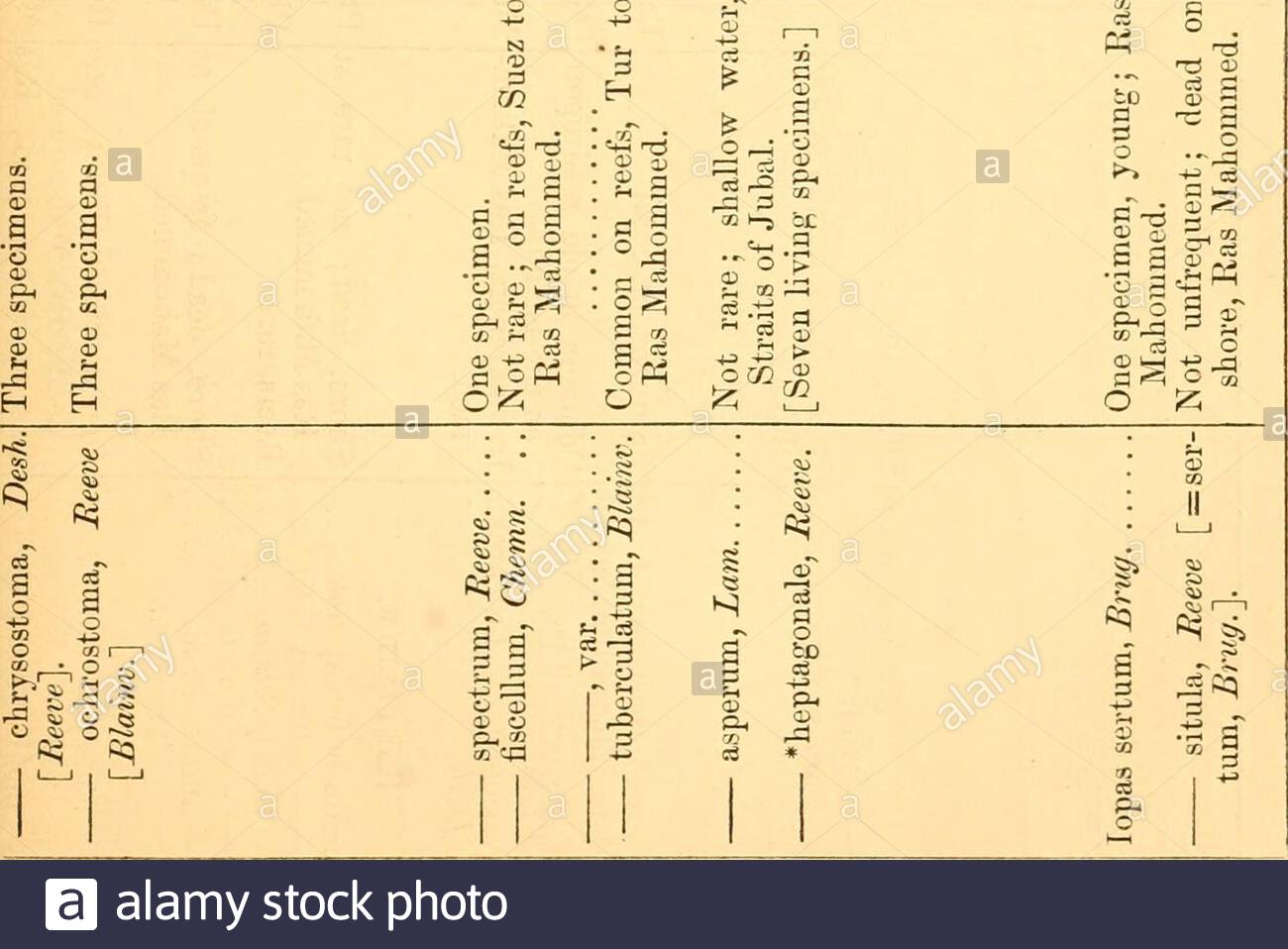 the annals and magazine of natural history zoology botany and geology 3 p asc p p w co lt 332 mr a h cooke on testaceous mollusca es pgt gt 03 bo b d cs s d gt o i n t a o = gtgt o d 3s d 03 2 k 3 9 o3 i 03 c 0 tt s s co ci 9 03 si nlv cthe pte ca the 03 d 3 9 co a o 3 ltu 2 9 eo g to d 03 3 h o n ltn t2 i 3 3r 3 s d d lts cd gqd 03 co ci s co p d 9 c d 0d ci 2 go oh p 3 d s rt g 03 2 s d s d s s d a c d d 03 lis 03 03 o 03 d hh 03 co ch jnd r d 2 cd rs 03 to d j co d 03 to 2AX2R53