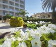 Jardin De Roses Élégant Hotel & Spa Terraza Roses Spain Booking