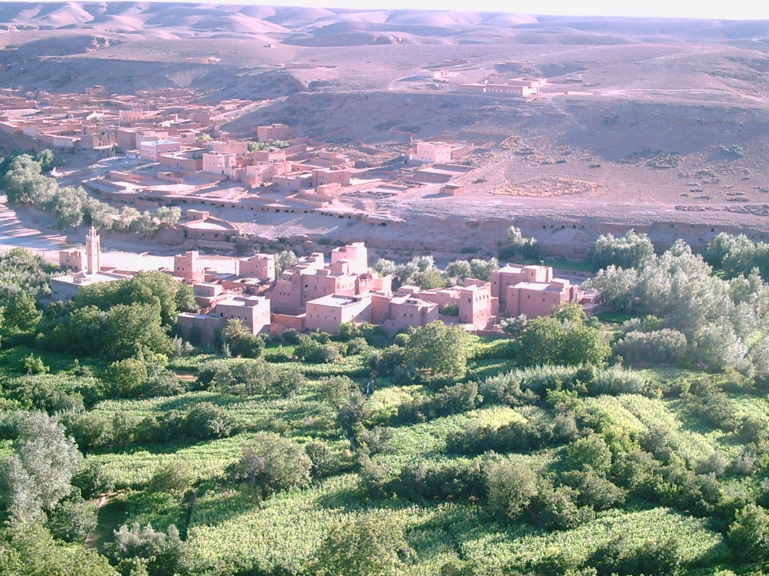 Jardin De Roses Génial El Kelaa M Gouna 2020 Best Of El Kelaa M Gouna Morocco