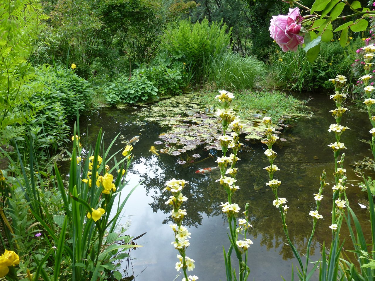 Jardin De Roses Unique Le Jardin Du tomple Concoules 2020 All You Need to Know