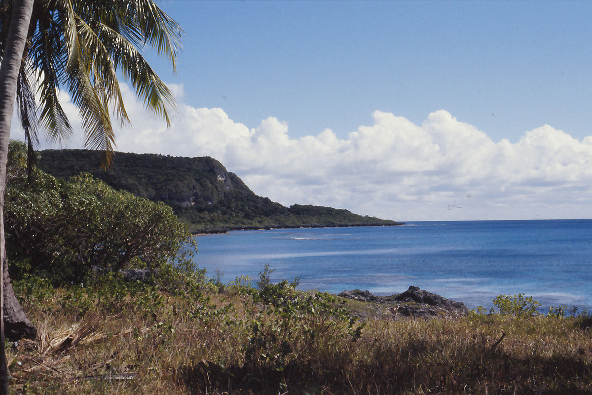 Jardin De Tadine Charmant Maré island