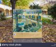 Jardin Des Arts Arles Beau Arles Van Gogh Stock S & Arles Van Gogh Stock