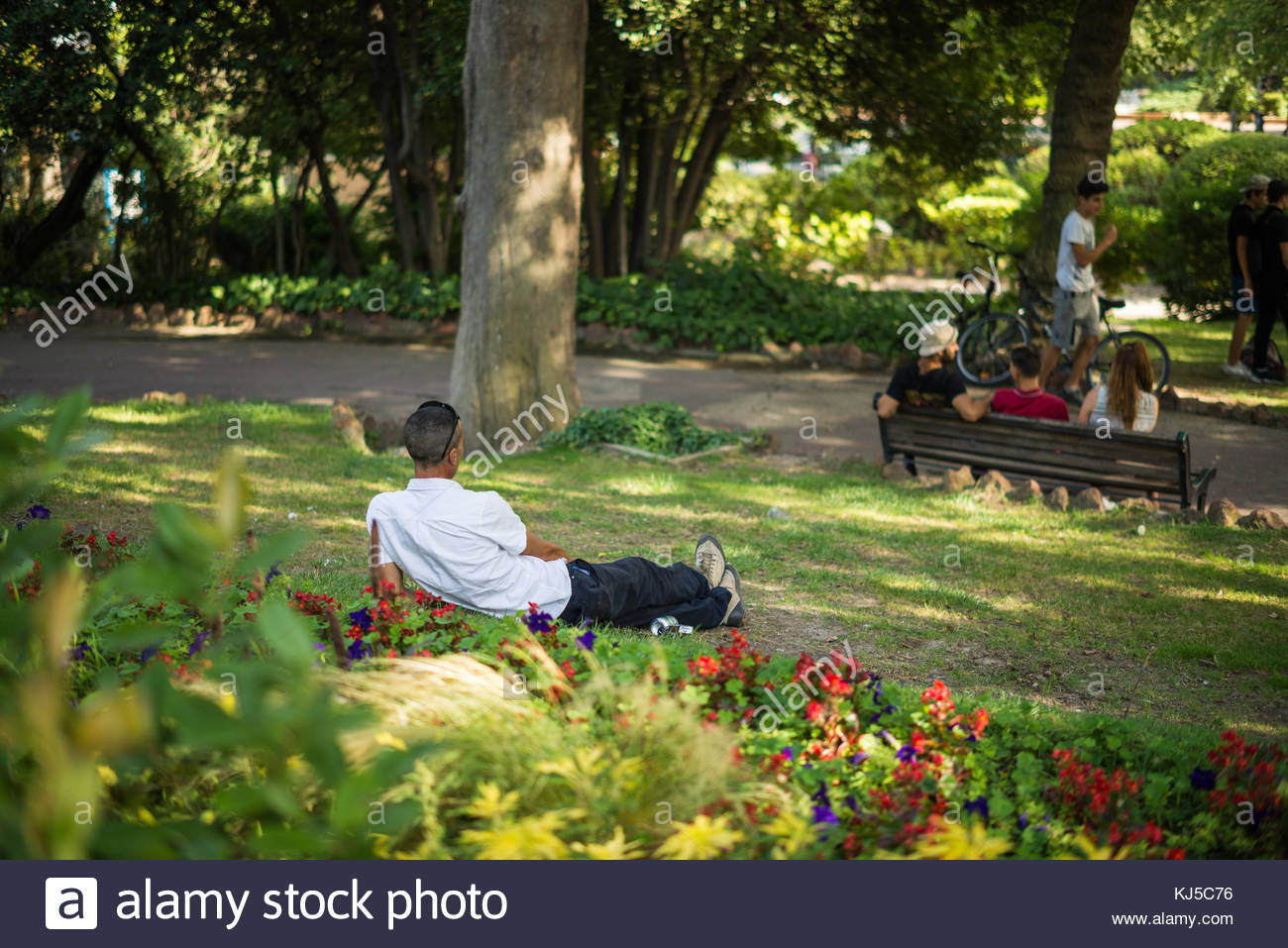 summer garden jardin dt arles provence france europe KJ5C76