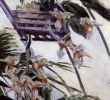 Jardin Des Arts Arles Luxe orchids by Gustave Caillebotte