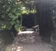 Jardin Des Arts Arles Nouveau Jardin Hortus Arles 2020 All You Need to Know before You