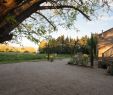 Jardin Des Arts Arles Unique Les Chambres D Agmara $96 $Ì¶1Ì¶0Ì¶2Ì¶ Prices & B&b Reviews