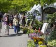 Jardin Des Chats Inspirant 21st Great Gardening Weekend at the Jardin Botanique May 25