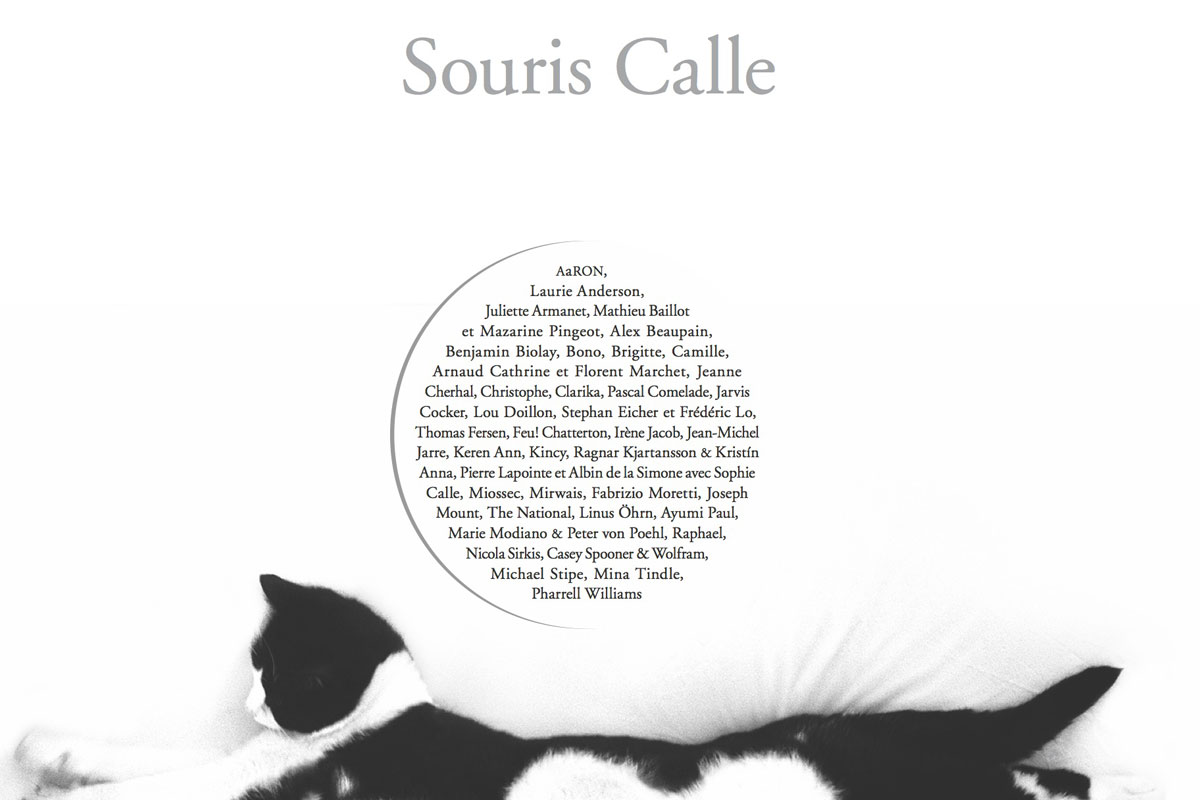 sophie calle et son amour pour les chats la gallerie perrotin 4573