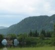 Jardin Des Chats Nouveau Mont Tremblant National Park