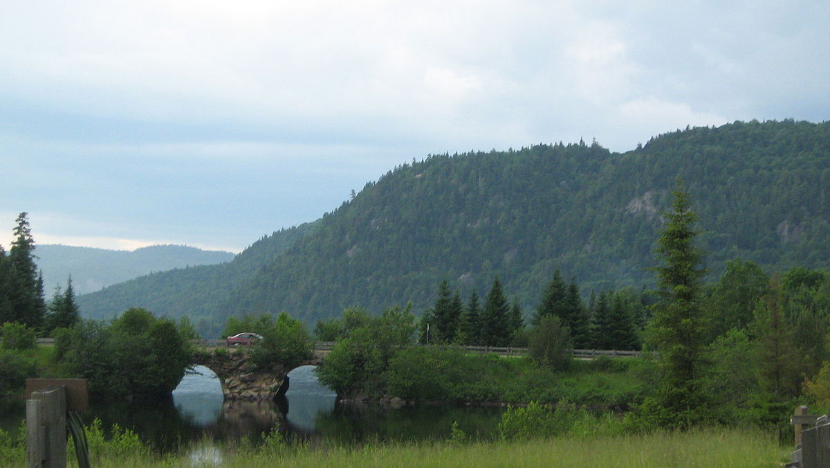 Jardin Des Chats Nouveau Mont Tremblant National Park