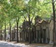 Jardin Des Chats Unique Montparnasse Cemetery Cimetiere Montparnasse Paris