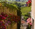 Jardin Des Fleurs Bordeaux Best Of 71 Best Europe 2017 Images