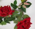 Jardin Des Fleurs Bordeaux Génial Acheter Deux Rose Fleur Vigne Artificielle Rouge Velours Rose Vignes Mur Fleurs Suspendus Fleurs Pour La Décoration Murale De $30 66 Du Xiaorong2010