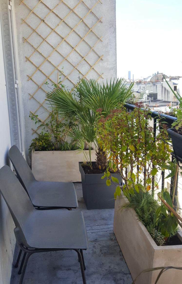 herbes fauves fleuriste bordeaux paysagiste terrasse jardin aménagement plantes jardinière balcon paris 6