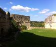 Jardin Des Fleurs Bordeaux Inspirant Rauzan 2020 Best Of Rauzan France tourism Tripadvisor