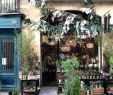 Jardin Des Fleurs Bordeaux Luxe Going Places Bordeaux the Shopkeepers