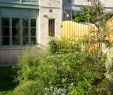 Jardin Des Fleurs Bordeaux Luxe Herbesfauves Fleuriste Bordeaux Jardin Garden Paysagisme
