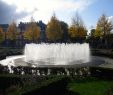 Jardin Des Fleurs Bordeaux Unique Rijksmuseum Gardens Amsterdam 2020 Ce Qu Il Faut Savoir