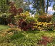 Jardin Des Martels Frais UÅ¾ivatel Pauline Na Twitteru „labellisés Jardin