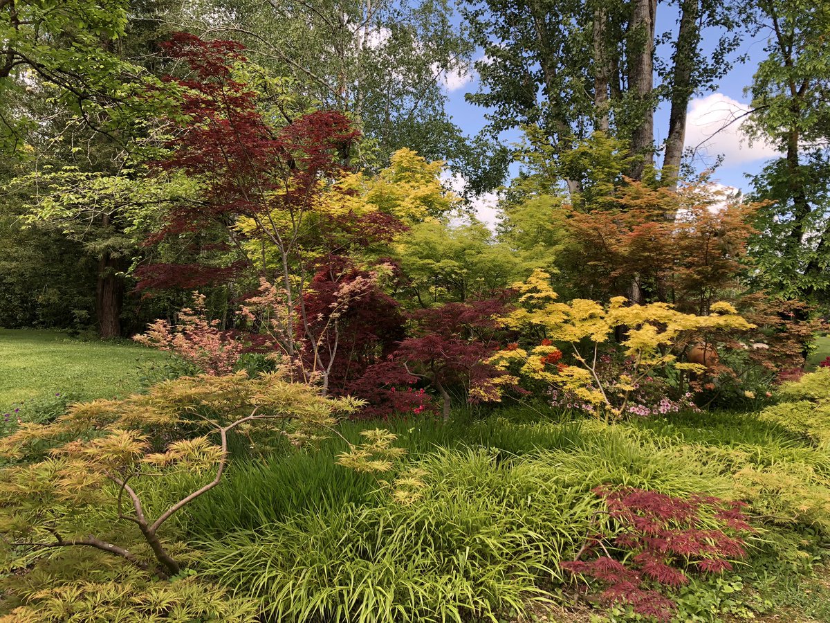 Jardin Des Martels Frais UÅ¾ivatel Pauline Na Twitteru „labellisés Jardin