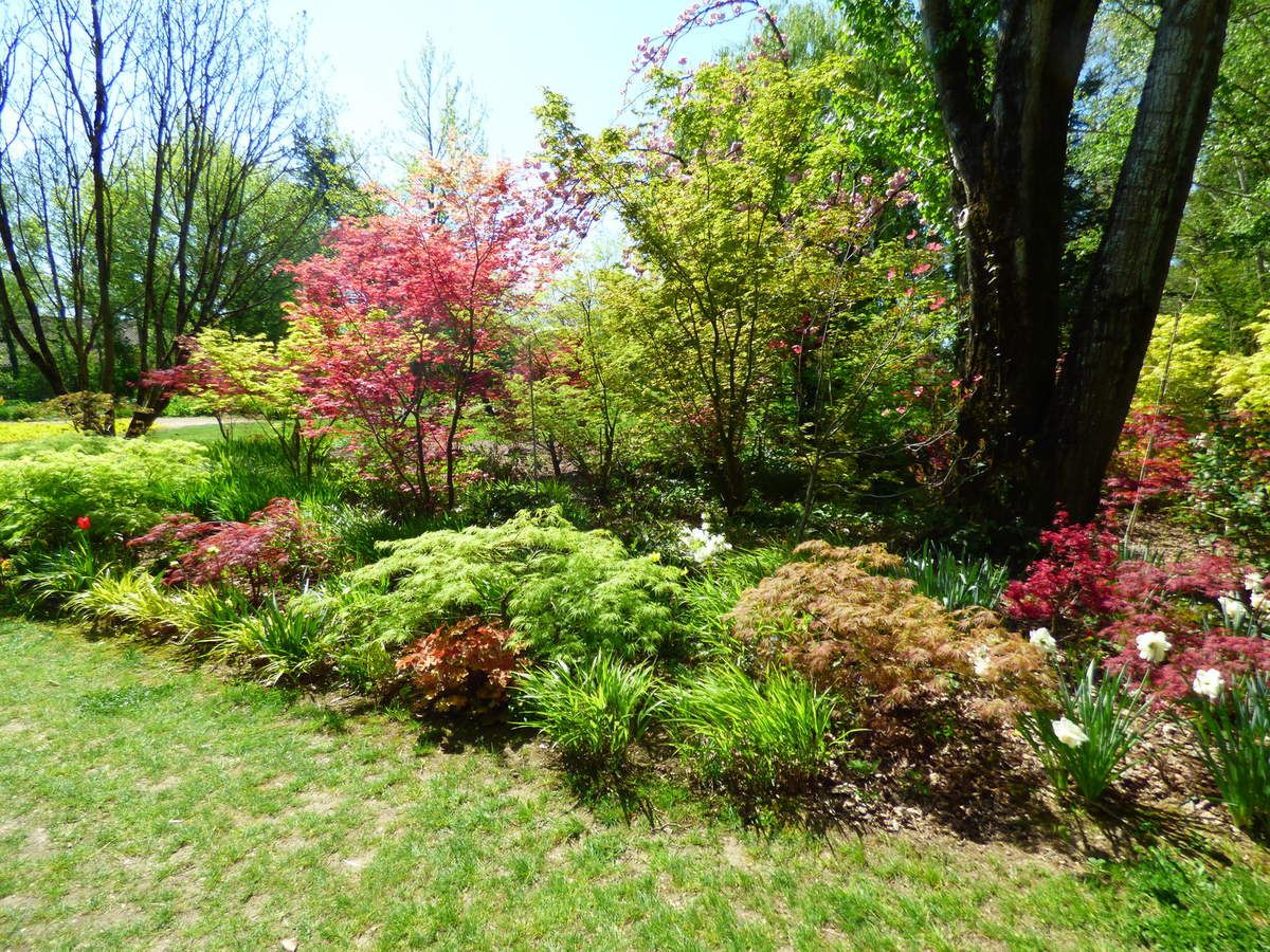 Jardin Des Martels Luxe Les Jardins Des Martels Dans Le Tarn 1er Partie