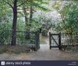 Jardin Des Martels Unique Paris 1847 Stock S & Paris 1847 Stock Alamy