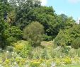 Jardin Des Plantes Caen Beau Jardin Des Plantes De Caen