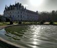 Jardin Des Plantes Caen Beau Link Paris Caen 2020 All You Need to Know before You Go