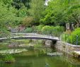 Jardin Des Plantes D Angers Beau $176 Flights to Angers France Ane Tripadvisor