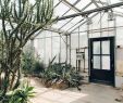 Jardin Des Plantes D Angers Best Of Wythenshawe Park Greenhouses — Near Manchester