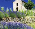 Jardin Des Plantes D Angers Charmant France & Italy Brochure 2016 by House Of Travel issuu