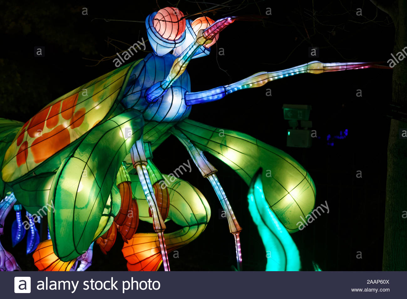 Jardin Des Plantes D Angers Charmant Killer Shrimp Stock S & Killer Shrimp Stock Alamy