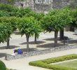 Jardin Des Plantes D Angers Élégant 197 Cheap Flights to Angers France Ane 2020 Tripadvisor