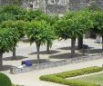 Jardin Des Plantes D Angers Élégant 197 Cheap Flights to Angers France Ane 2020 Tripadvisor