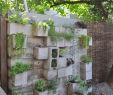 Jardin Des Plantes D Angers Frais 170 Best Garden Crafting Images