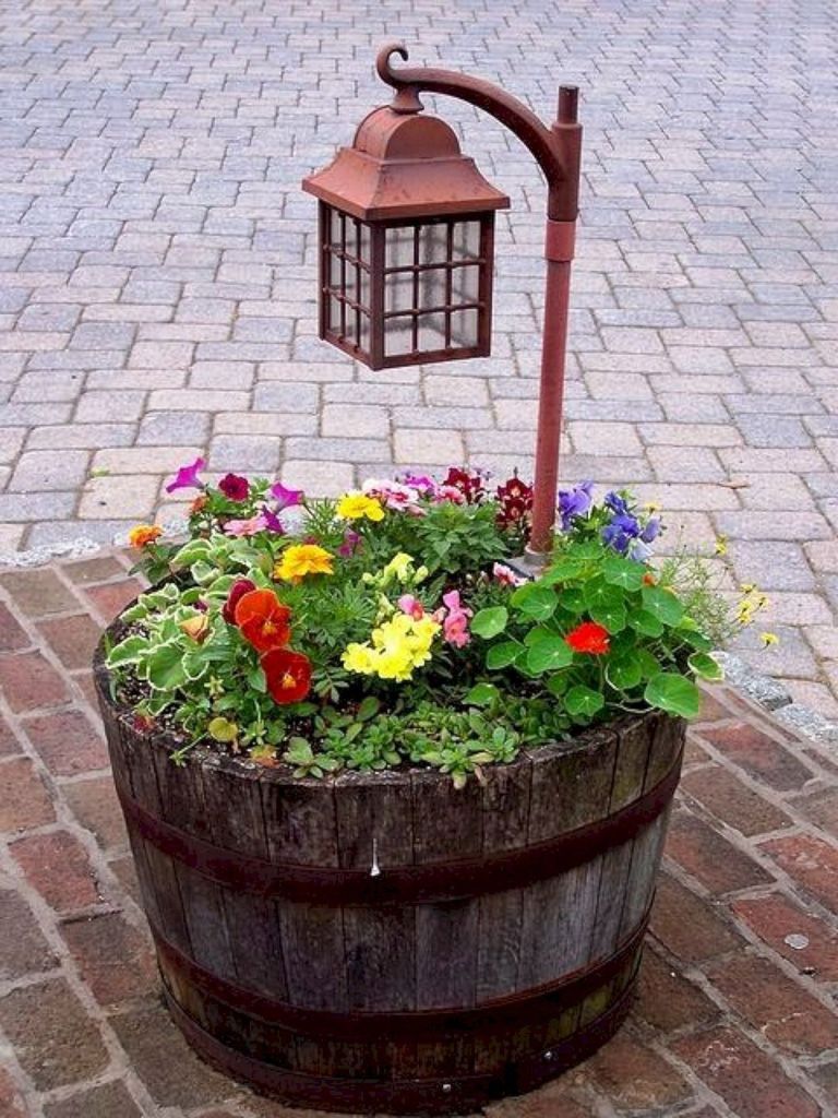 Jardin Des Plantes D Angers Frais Container Gardening Projects