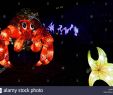 Jardin Des Plantes D Angers Génial Killer Shrimp Stock S & Killer Shrimp Stock Alamy