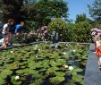 Jardin Des Plantes D Angers Luxe Contact Ce Terra Botanica