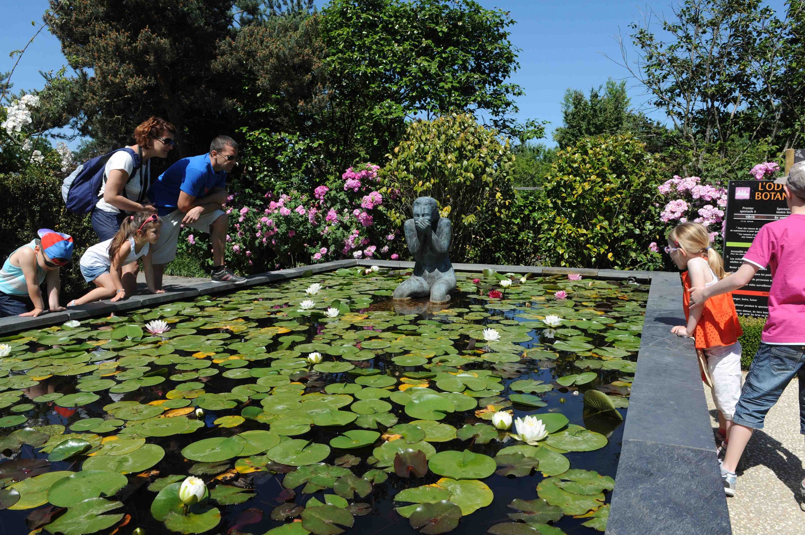 Jardin Des Plantes D Angers Luxe Contact Ce Terra Botanica