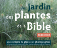 Jardin Des Plantes D Angers Nouveau Exposition Archives société Nationale D Horticulture De France
