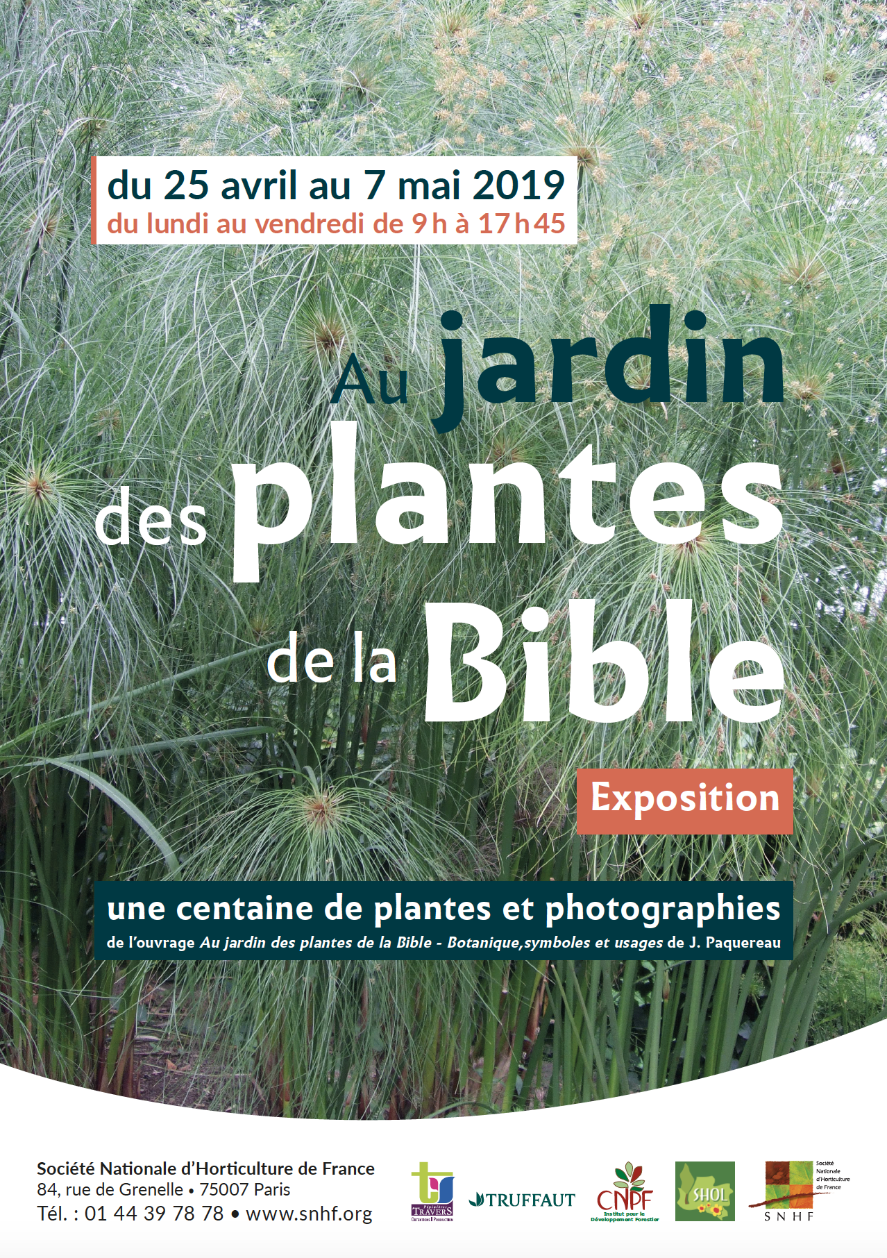 Les plantes bible web