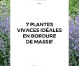 Jardin Des Plantes De Caen Beau 2266 Meilleures Images Du Tableau Jardin